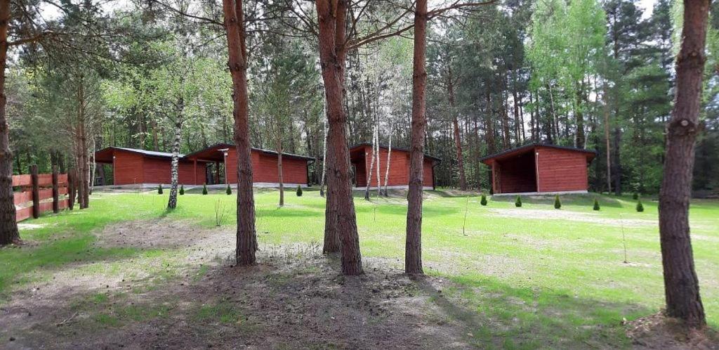 Domki Wrzosowe Wzgorza Nr2 Horyniec Exteriör bild