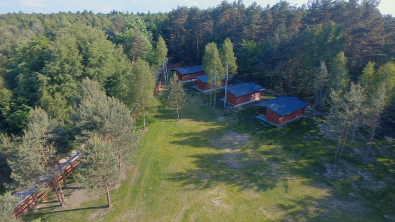 Domki Wrzosowe Wzgorza Nr2 Horyniec Exteriör bild