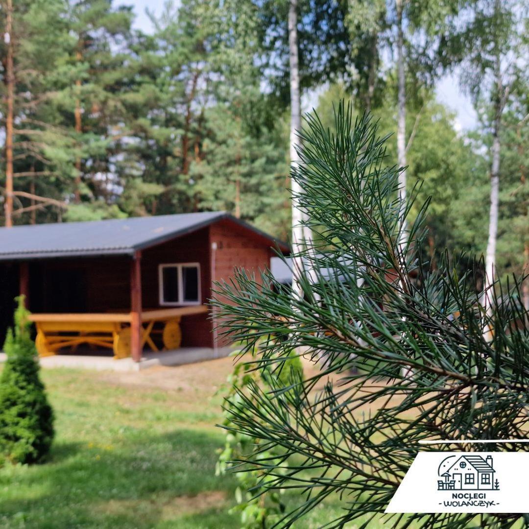Domki Wrzosowe Wzgorza Nr2 Horyniec Exteriör bild